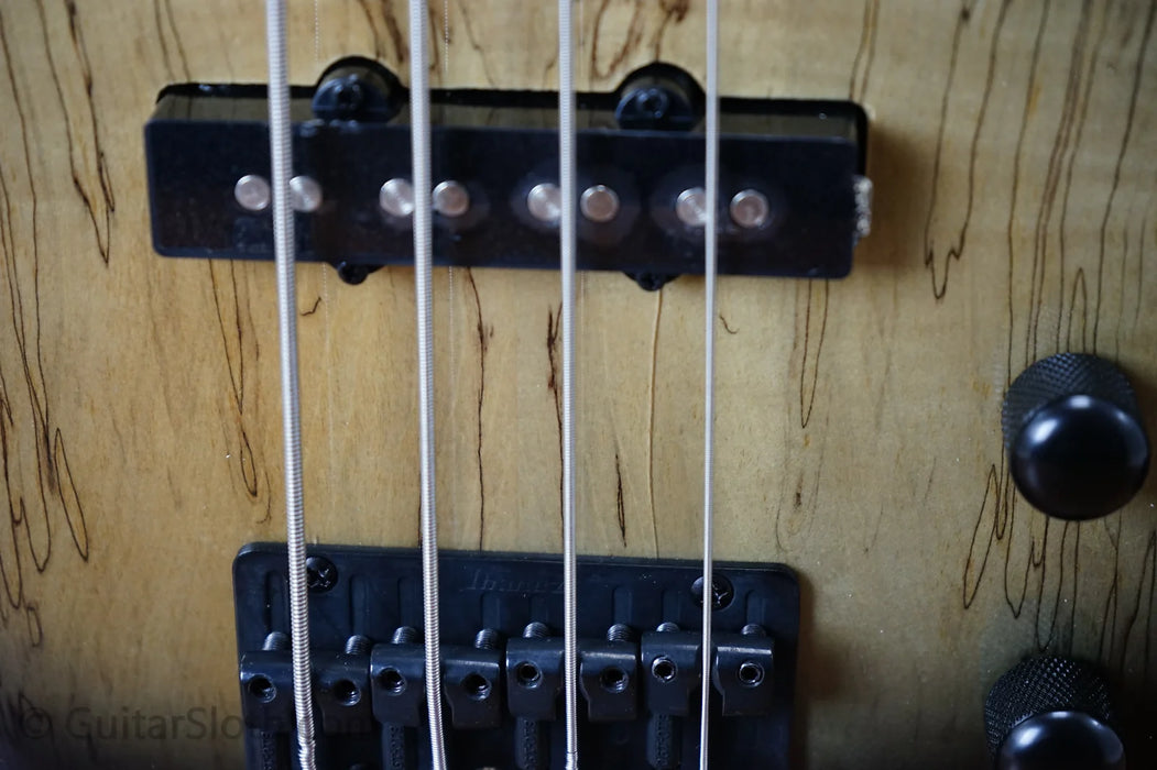 Ibanez GSR200SM-NGT Gio Soundgear - Natural Grey Burst