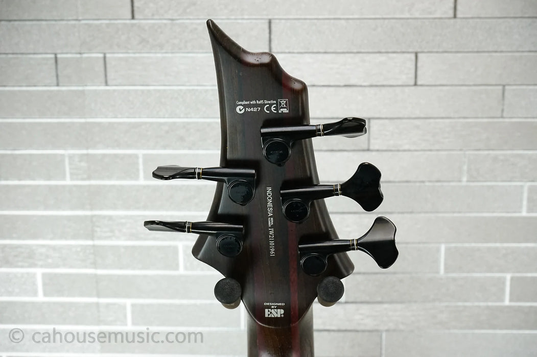 ESP LTD B-1005 - Natural Satin