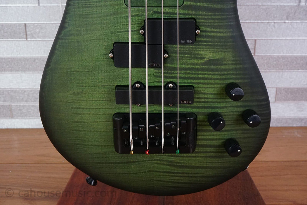 Spector Euro 4 LX Bolt-On - Haunted Moss