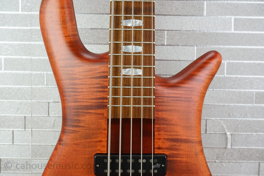 Spector Euro 5 RST - Sienna Stain