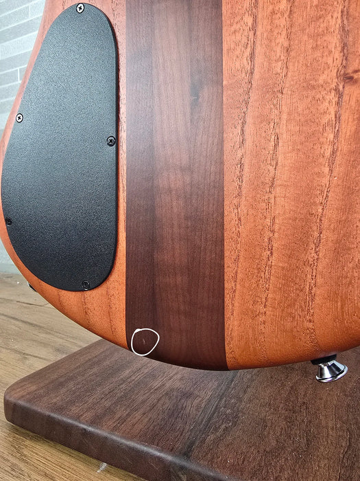 Spector Euro 4 RST - Sienna Stain