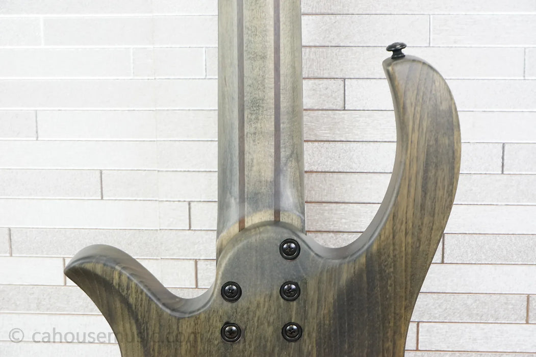 Schecter Riot-5 - Aurora Burst